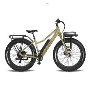 Electric Bike BA-Boar Hunter