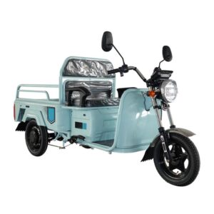 Electric Cargo Tricycle BA-RK1