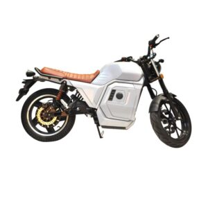 Electric Motorcycle BA-M800A