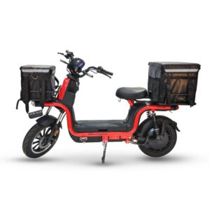 Electric Motorcycle BA-SM