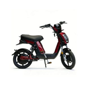 BAEV BA-LXQS 2-wheeled 48V12Ah Lead-acid battery 32km/h Electra bike Comfort version