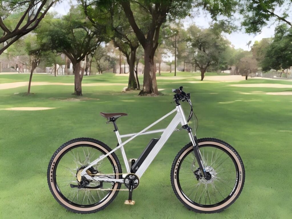 EMTB from Baev used in blog