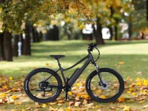 BA EMTB used in blog