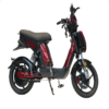 BAEV 350W e bike BA-LXQS