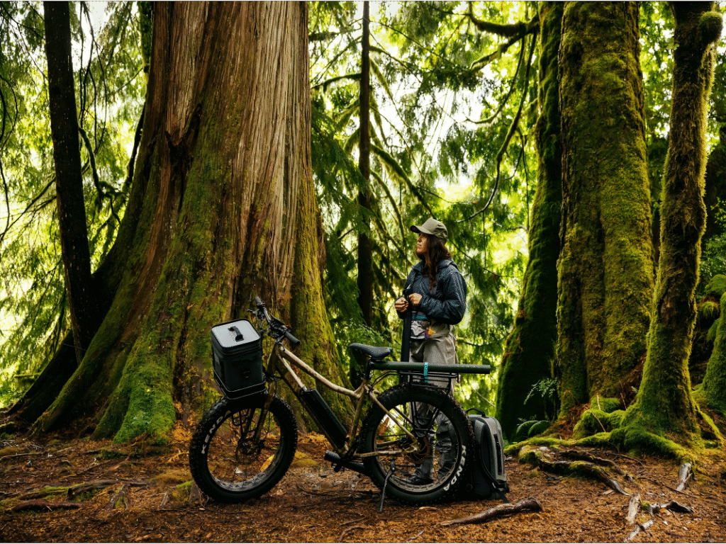 fat tire e bike form baev for bolog