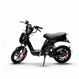 BAEV BA-LXQS2 electric bike motor 500W Lithium battery 48V20Ah Comfort version